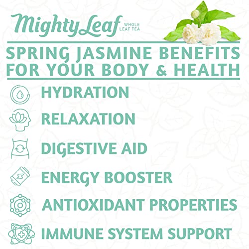 Mighty Leaf Green Tea Tropical – 100 Count Whole Leaf Green Tea Bags – Pyramid Sachets with Pineapple, Tropical Fruit & Floral Flavors – Antioxidant-Rich, Lightly Caffeinated