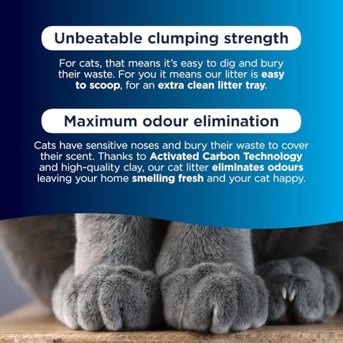 Ever Clean Extra Strong Clumping Cat Litter, 10 Litre, Scented