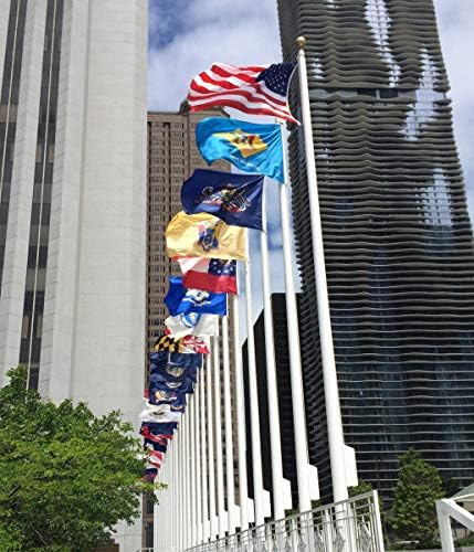 Annin Flagmakers New York State Flag USA-Made to Official State Design Specifications, 3 x 5 Feet (Model 143860) | USA-Made to Official State Design Specifications