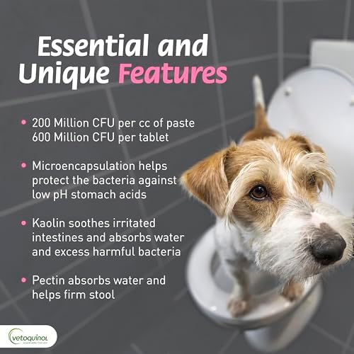 Vetoquinol Pro-Pectalin Oral Paste for Dogs & Cats – Chicken Flavor – Helps Reduce Occasional Loose Stool & Diarrhea, Balance Gut pH, Support Normal Digestion & Intestinal Flora - 30 cc