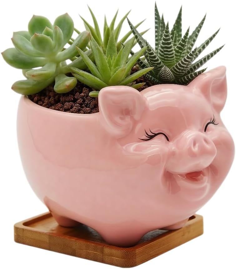 Cuteforyou Succulent Pots,Cute Animal Shaped Cartoon Ceramic Succulent Cactus Flower Planters -Plant Not Included，Cat