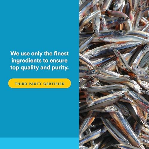 Natural Factors, RxOmega-3 Fish Oil, Pharmaceutical Grade, 1260 mg Omega-3 Per Serving, No Fishy Aftertaste, 240 Count (Pack of 1)