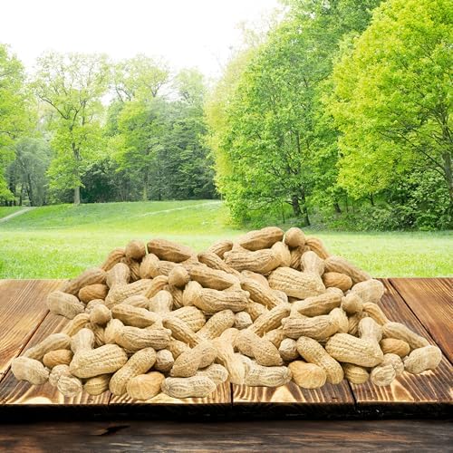 BestNest Peanuts in The Shell, 25 lbs.