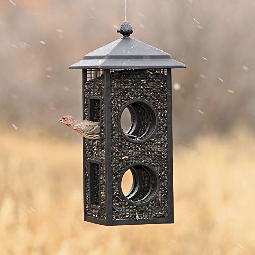 Perky-Pet Fly-Thru Wild Bird Feeder, 2 lb Seed Capacity | All-Metal Construction, Mesh Sides