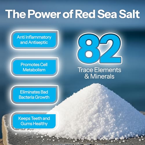 H2Ocean Healing Rinse Natural Sea Salt Mouthwash Arctic Ocean Mint, 8 oz | Alcohol & Fluoride-Free Oral Care for Tonsil Stones, Sore Throats, Wisdom Teeth Recovery & Gum Health, Whitening Mouthwash