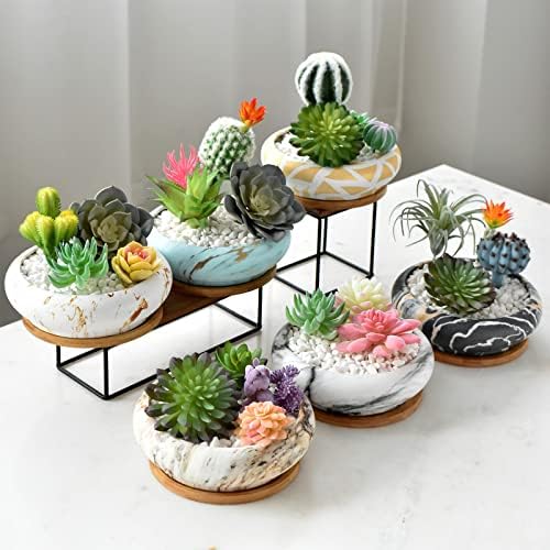 Succulent Pots, 7.3'' Large Bonsai Pots with Tray, Shallow Planters