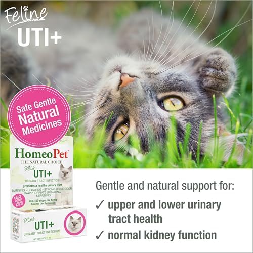 HomeoPet Feline UTI+ Urinary Tract Supplement for Cats, 15 Milliliters | Natural urinary tract support for cats, safe and gentle homeopathic formula, liquid drops suitable for daily use