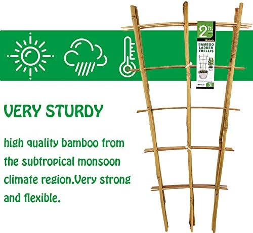 Natural Bamboo Trellis 24 Inches Tall, Mininfa Garden Ladder Trellis, Plant for Climbing Plants, Vegetables, Pots - 3 Pack