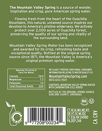 THE MOUNTAIN VALLEY NATURAL PURE FINE Sparkling Spring Water 1 L. Pack of 12 | Natural Spring Bottled Water - Glass Bottles