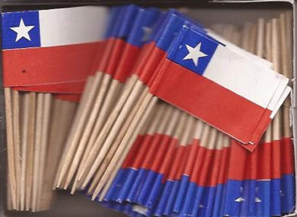One Box of 100 Nicaragua Toothpick Flags, 100 Small Mini International Flag Cupcake Toothpicks or Cocktail Picks