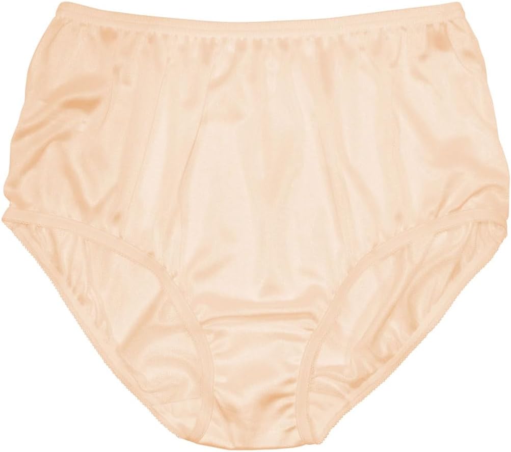Teri Women's 331 Plain Jane Classic Nylon Silky-Smooth Lightweight Breathable Full Coverage Brief Panty - 4 Pack