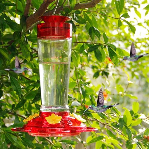 Shrdaepe Hummingbird Feeder, Glass Bottle Bird Feeders, 5 Feeding Ports, 10-Ounce Nectar Capacity