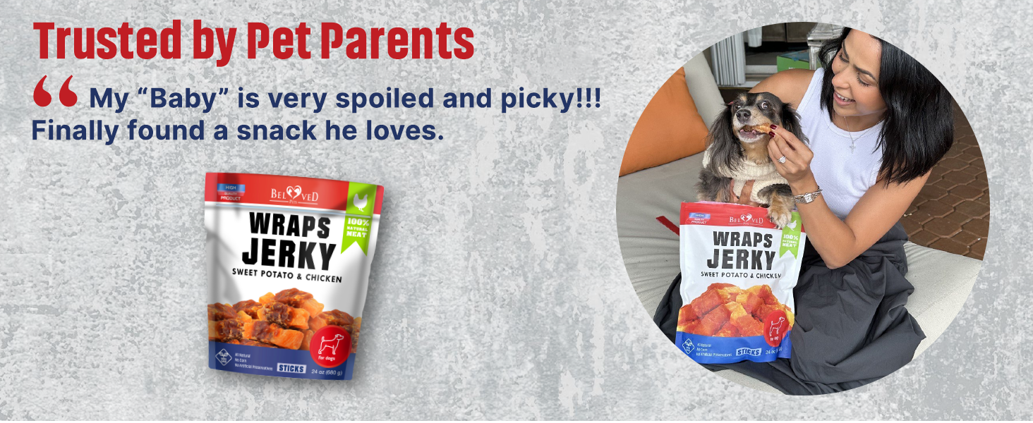 jerky chicken treats for dogs human grade chews natural snack usa protein