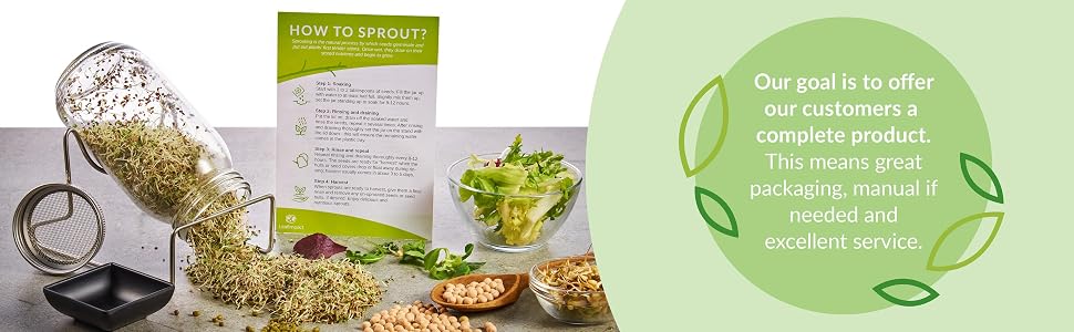 sprout jar mason jar strainer sprout lids brocollis sprout seeds organic kit mason jar sprout