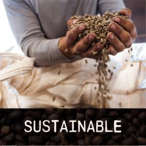 Sustainable