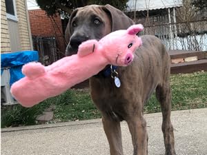 Tender-Tuffs Dog Bottle Toy Lifestyle Pig