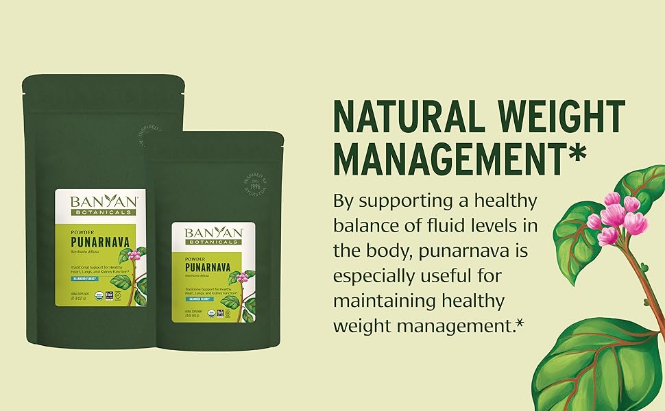 punarnava powder