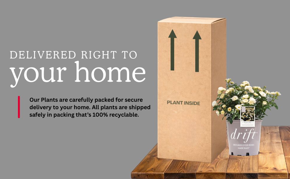 Delivered right to your door
