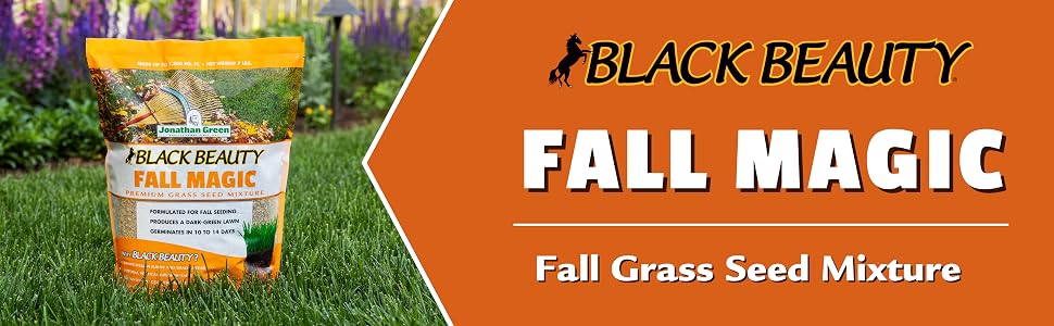 jonathan green black beauty fall magic grass seed lawn yard