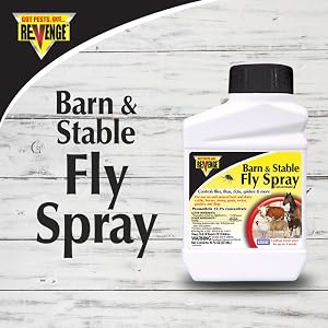 fly salt knat housefly bug house flytraps drain bugassault saltgun fruit fky flytrap indoor flybags