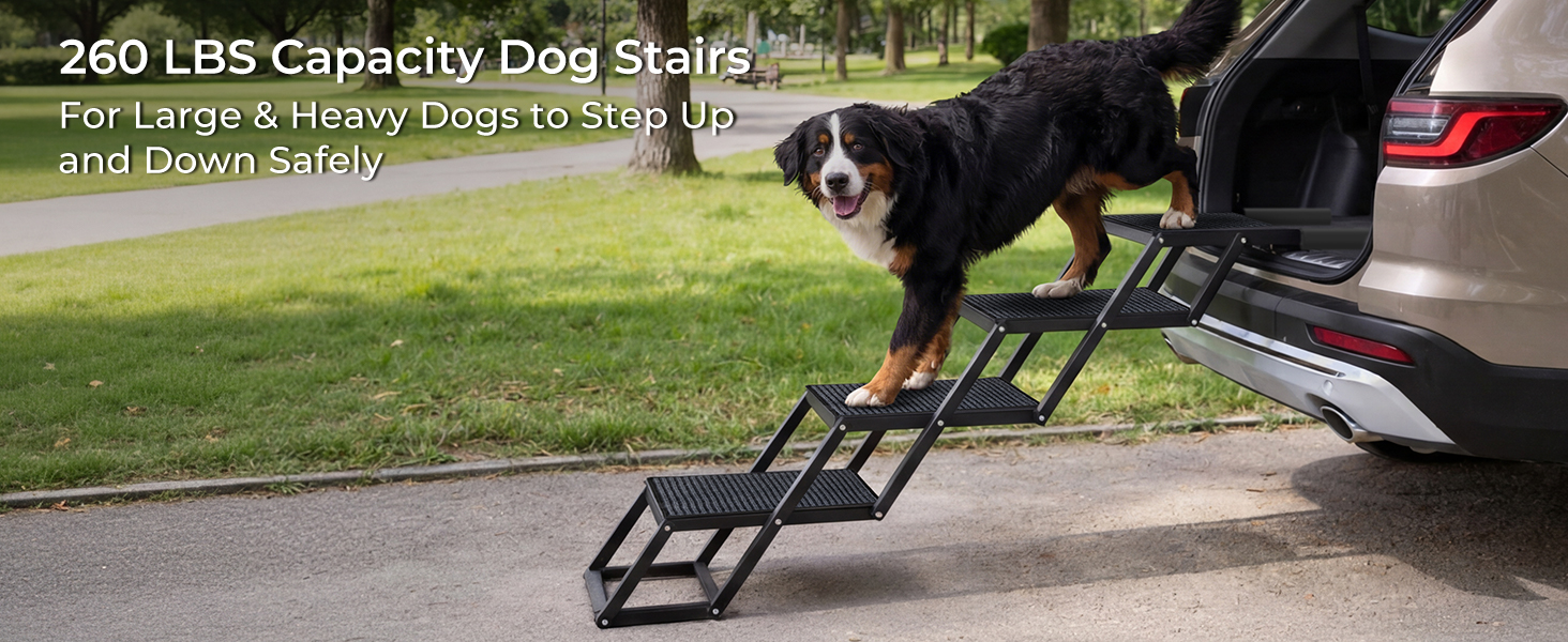 dog step ramp