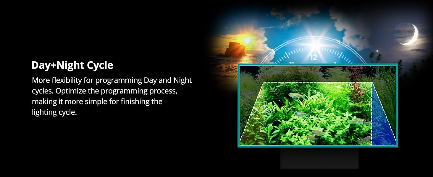 Day+Night Cycle