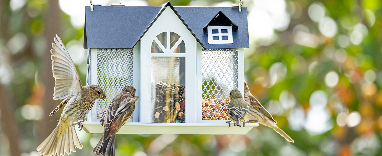 bird feeder