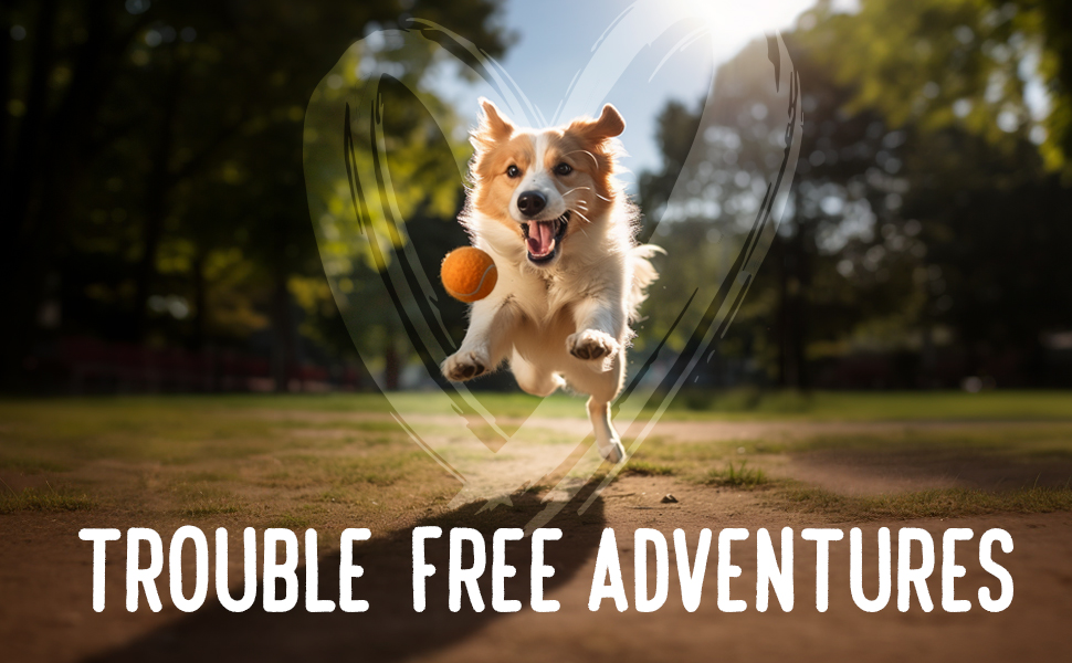 Trouble Free adventures