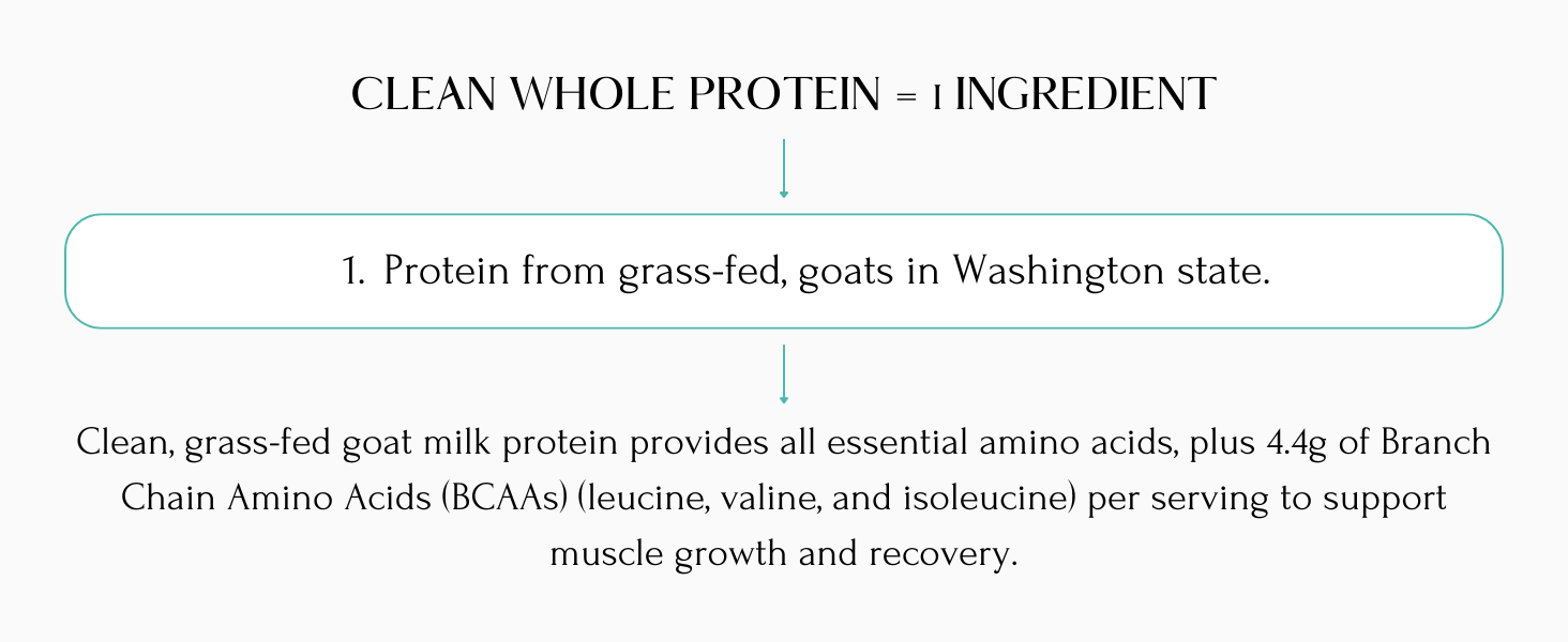 Clean Whole Protein