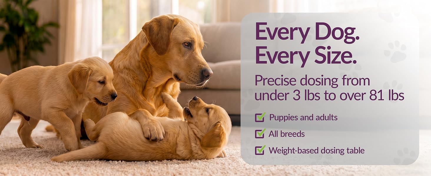 Amber NaturalZ Paxaid Dog Digestive Rescue