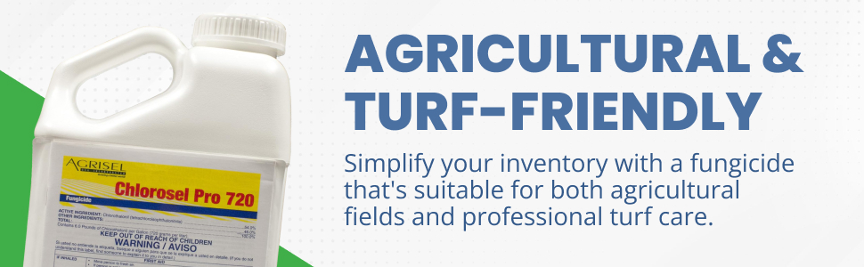 turf