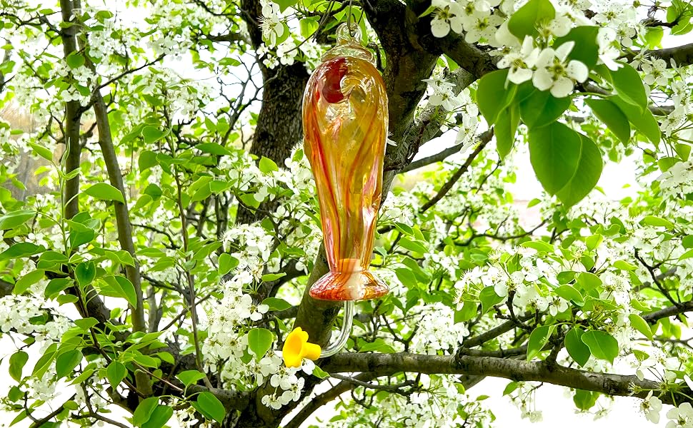 glass hummingbird feeder in tree