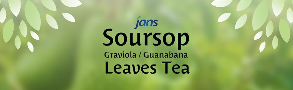 Bottom Banner Soursop Leaves Tea