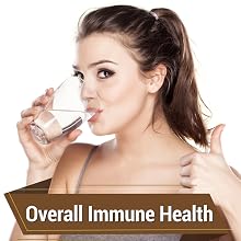 windmill health products vitamin c with zinc immune support for all ages