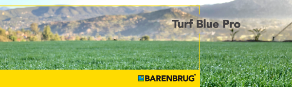 grass seed, sun shade, grow, lawn, weed, aerator, garden soil, fertilizer, hard to grow, turf, build