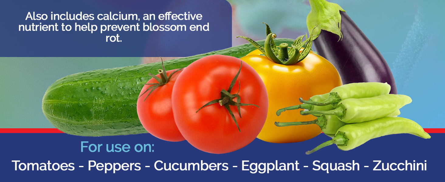 Tomato FeED Bottom