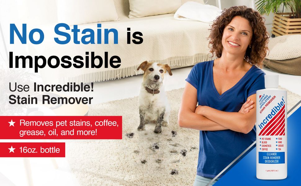 Dog stains on carpet