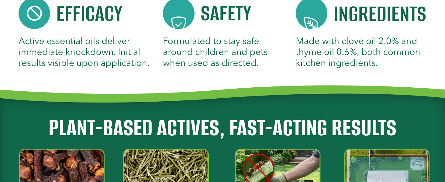 EcoSmart Insect