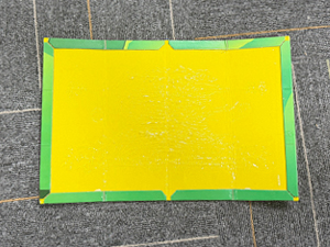 Mouse traps
