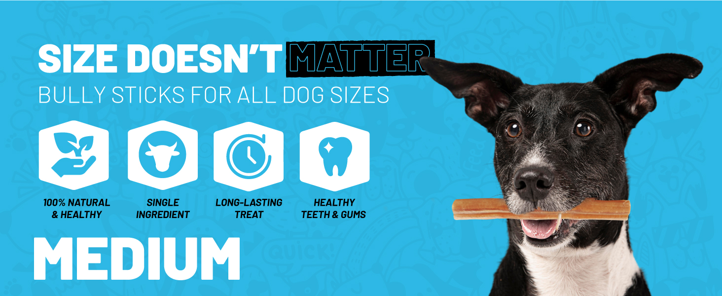 bully sticks for large dogs medium stick small best braided aggressive chewers dog toy natural farm