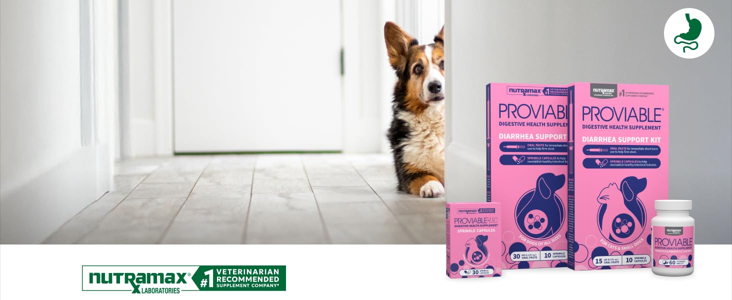 FOR DIGESTIVE HEALTH SUPPORT CHOOSE PROVIABLE