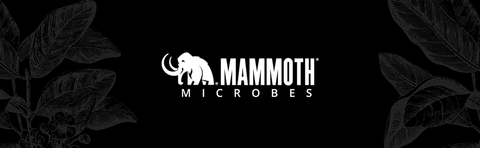 Mammoth P