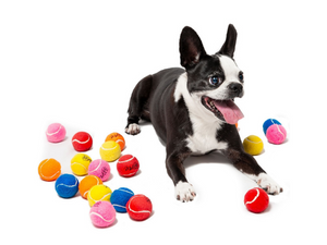 tennis balls mini