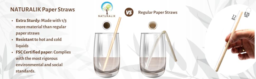 Paper Straws