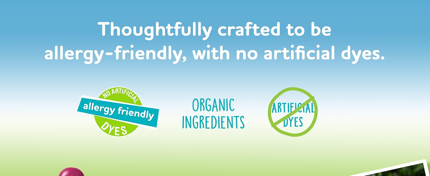 YumEarth Delicious Allergy Friendly Candies