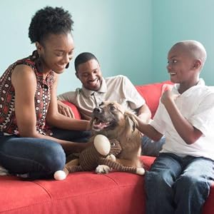 dog with brown crinkle monkey and family