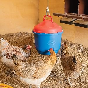 Heated Poultry Waterer