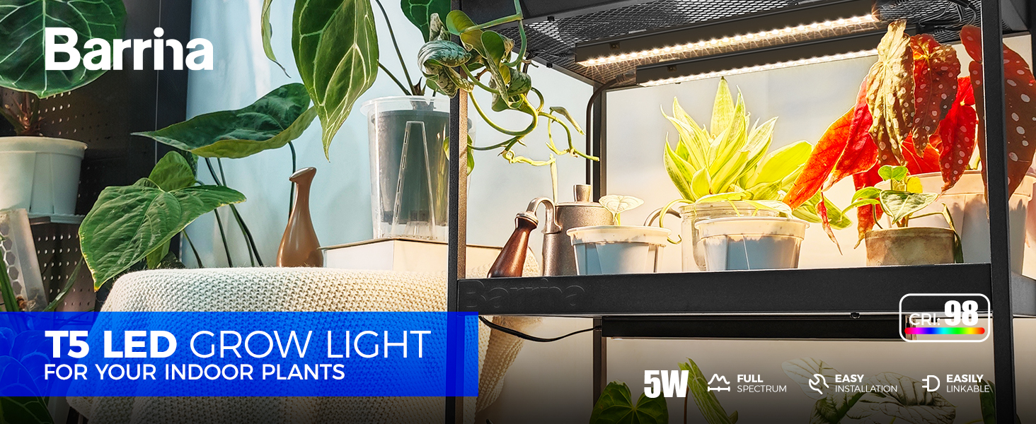 a close up of a plant in a pot with a light on it.