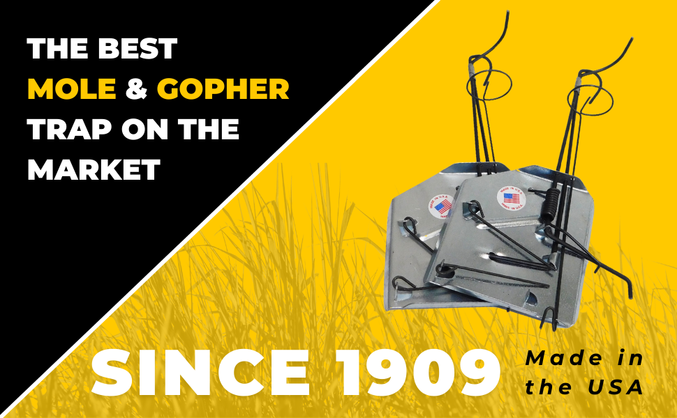 Best mole and gopher traps on the market