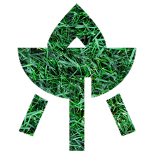 family and friends get together icon